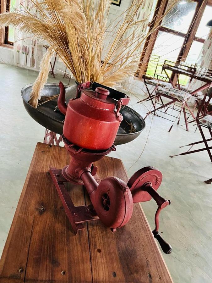 Camp Lands End Hotel Pushkar Bagian luar foto