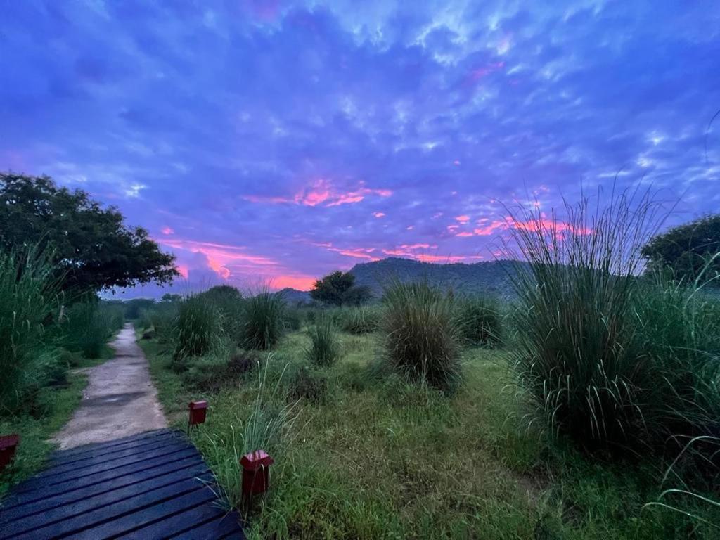 Camp Lands End Hotel Pushkar Bagian luar foto